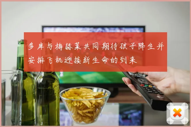 多库与梅赫莱共同期待孩子降生并安排飞机迎接新生命的到来