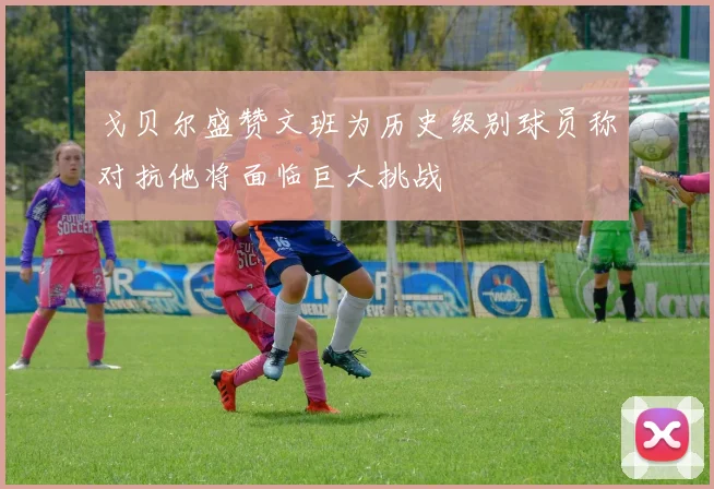 戈贝尔盛赞文班为历史级别球员称对抗他将面临巨大挑战