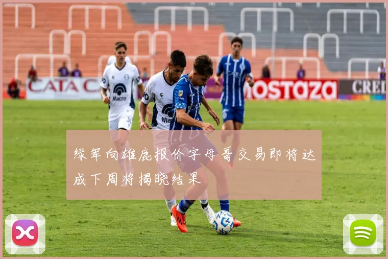 绿军向雄鹿报价字母哥交易即将达成下周将揭晓结果